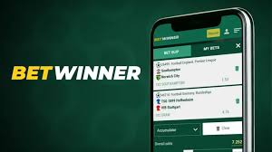 Explore BetWinner Online Betting Platform Features and Benefits